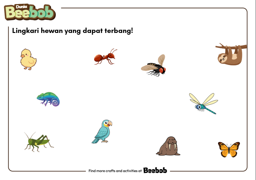 Lingkari Hewan yang Dapat Terbang!