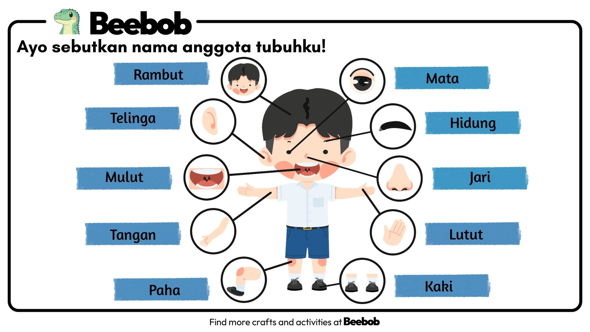 Ayo Sebutkan Nama Anggota Tubuh Anak Laki-Laki